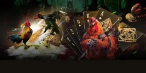 Chi Tiết Cách Chơi Đá Gà GA28 Tại VT999 Cực Cuốn Hút Cho Kê Thủ