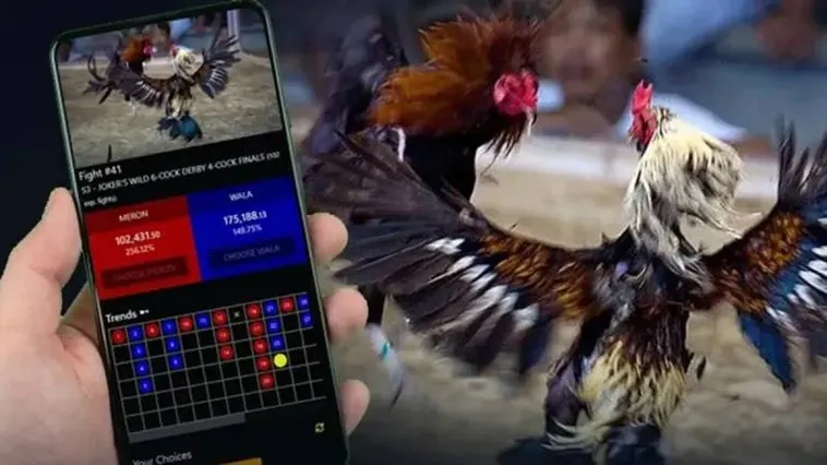 Hướng Dẫn Tham Gia Cá Cược Đá Gà VT999 Đỉnh Cao Rinh Ngay Thưởng Lớn Về Túi